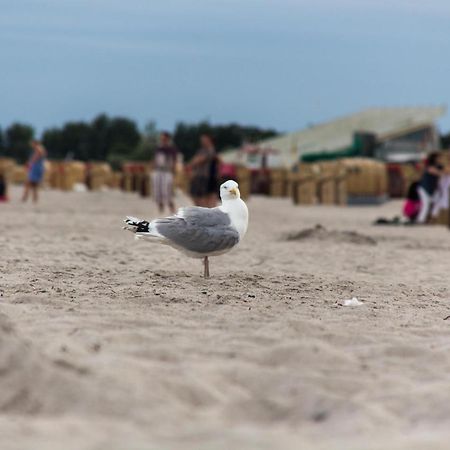 Ferienwohnungen-Neue-Tiefe-Wohnung-Kleiderbuegel Neue Tiefe Fehmarn 外观 照片